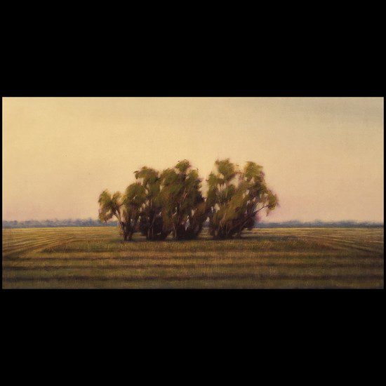 Taman VanScoy Main Street Arts Festival