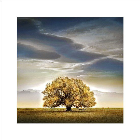 William Vanscoy Main Street Arts Festival